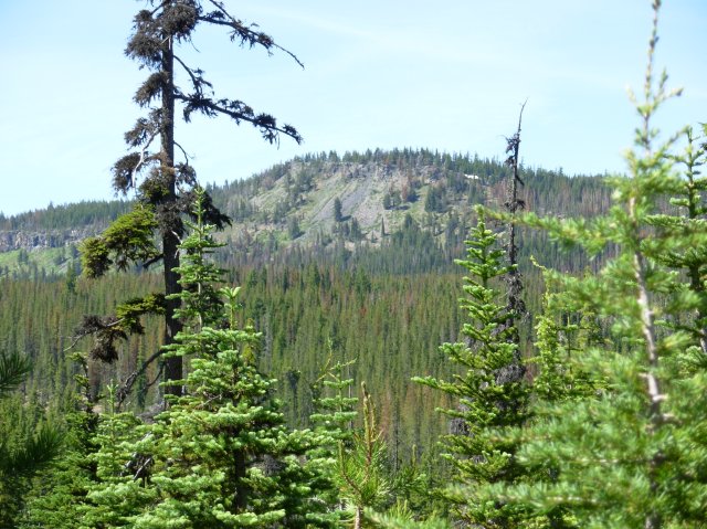 Summer '06 Sunriver 309 